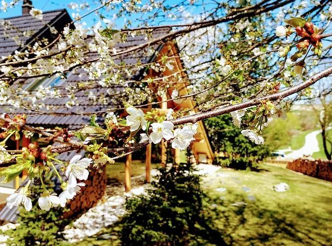 Koca Na Samem * مورفسكه تيبليتسه